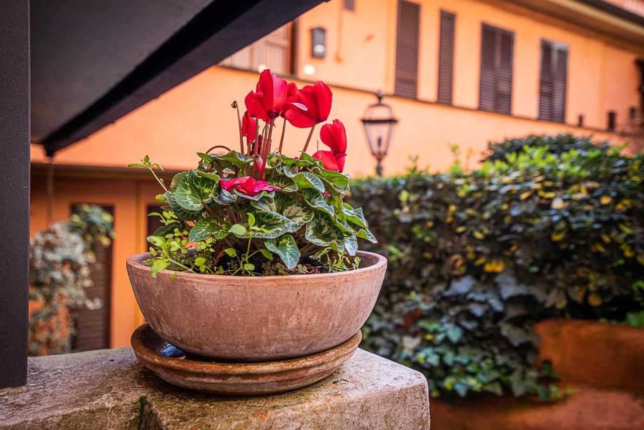 Cosy Studio In The Greenest Corner Of Trastevere Рим Экстерьер фото