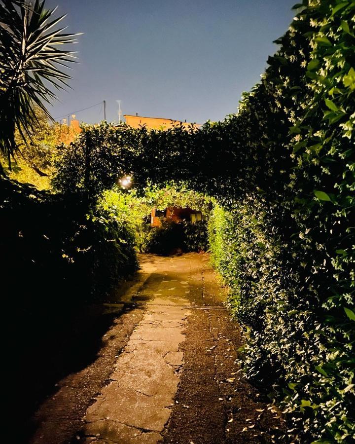 Cosy Studio In The Greenest Corner Of Trastevere Рим Экстерьер фото